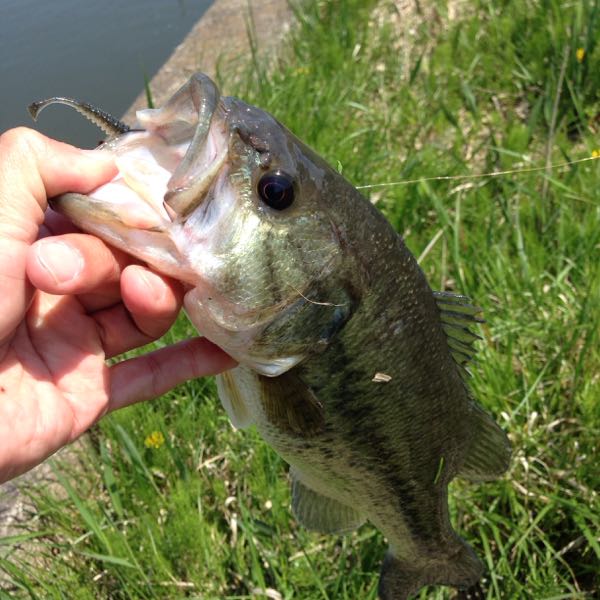 rblog-20150424054342-02.jpg