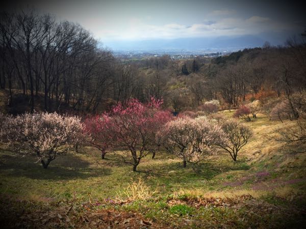 rblog-20160308142755-01.jpg