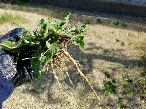 rblog-20180430124604-02.jpg