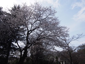 2014-04-01 13.44.08.jpg