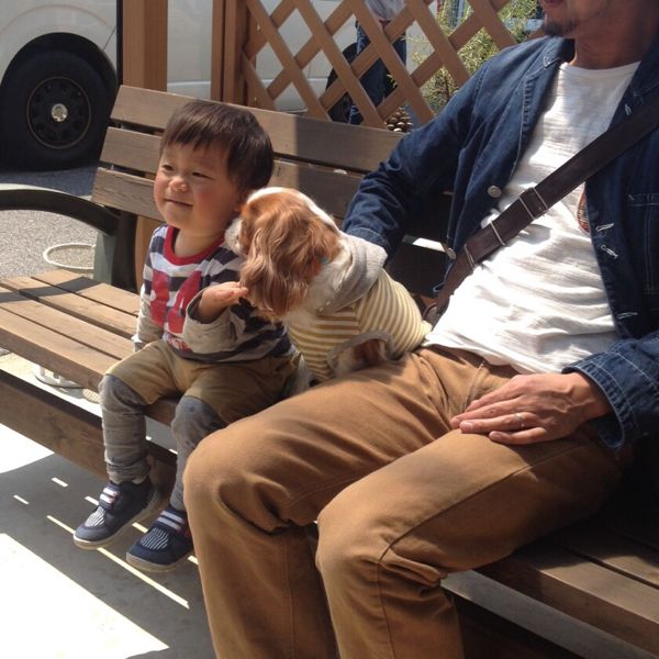rblog-20140419231134-01.jpg