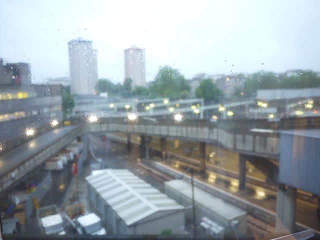 P1050901.jpg
