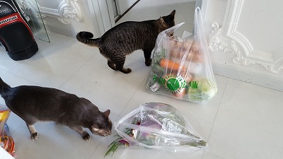 20161025_111038.jpg