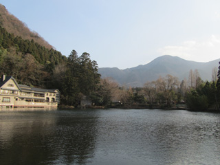 0110_8313.jpg