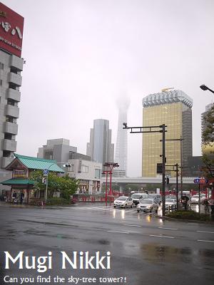 さすがびびり犬。存在を消すのがうまい。