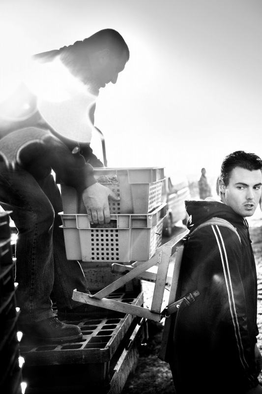 MLR vendanges 2-s.jpg