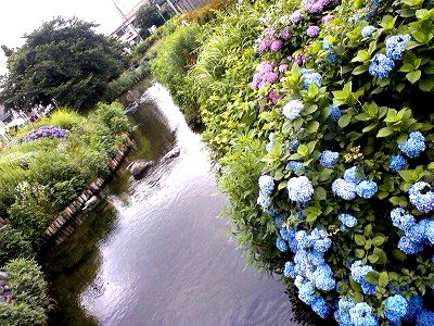 20120619　nikaryous-.jpg