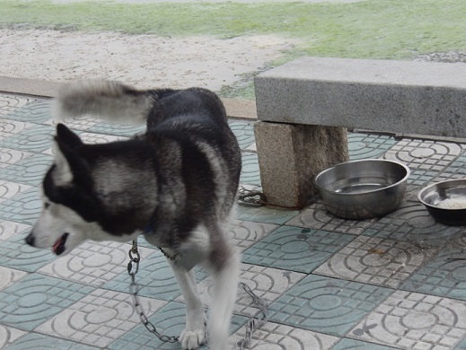 落ち着けよ！