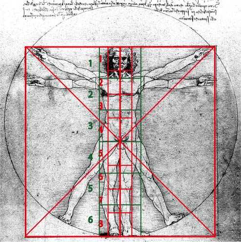ウィトルウィウス的人体図 英語