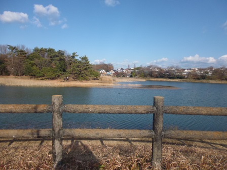 P1020168.JPG