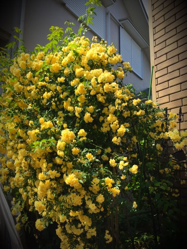rblog-20160430181122-02.jpg