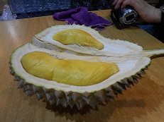 DSCN0600.jpg