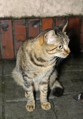 5DA_6731-17.jpg