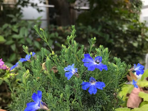 rblog-20181108170137-09.jpg