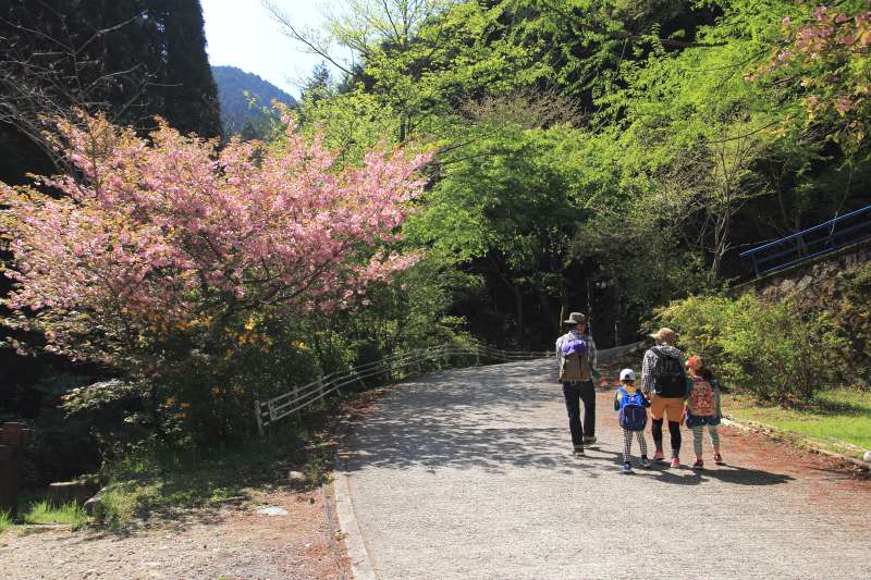 金剛山_001.jpg