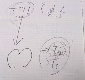 TSH