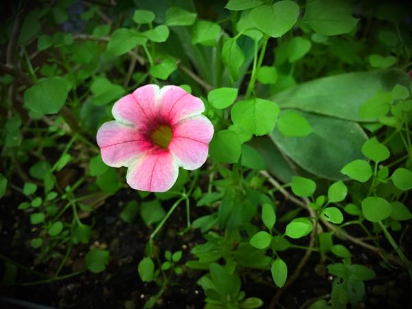 rblog-20160630185335-06.jpg
