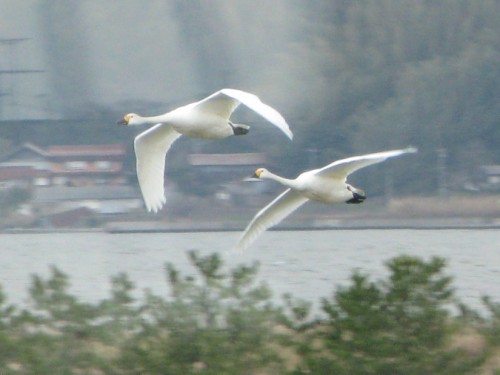 IMG_3240.JPG