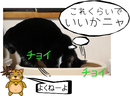 IMG_0447.png