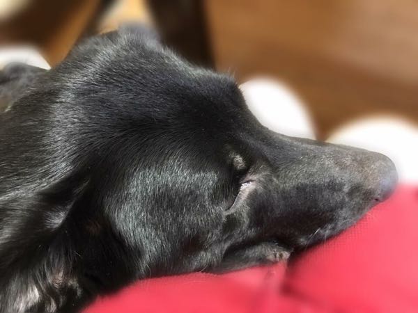 rblog-20170817160145-01.jpg