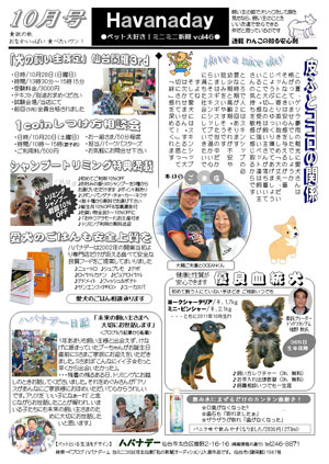 ハバナデーチラシ10月号-2.jpg
