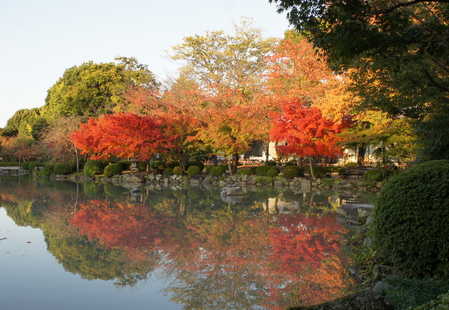 東寺紅葉１.jpg