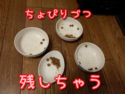 食後2.JPG