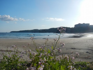 DSCN1909.jpg
