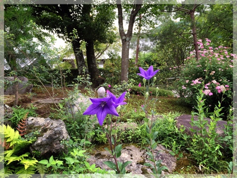 天龍寺百花園