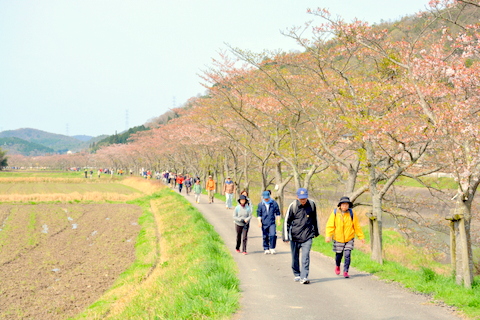 岩倉橋の皆さん