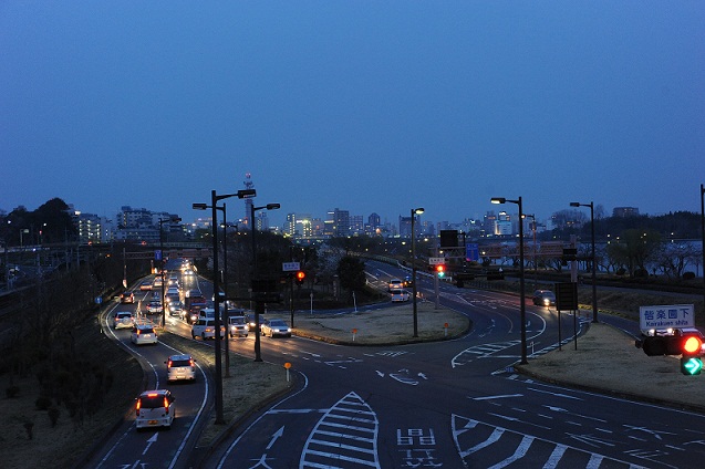 2013.3.22 065.JPG