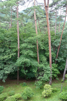 佳松園19.jpg