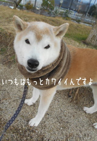 0109夕2.jpg