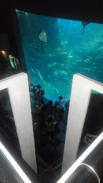 rblog-20180623141525-01.jpg