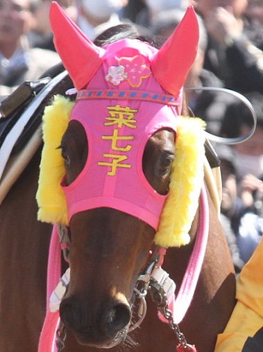 藤田騎手５６.jpg