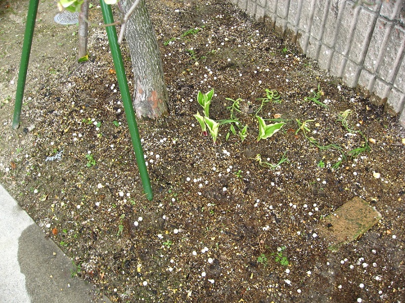 20130411