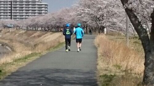 rblog-20180401184034-03.jpg