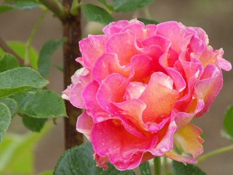 DSCN3831.JPG