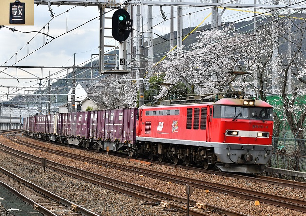 DSC_1387.JPG