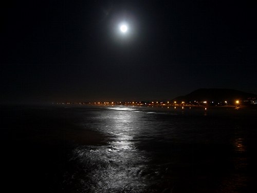1_月夜_Mongagua.jpg