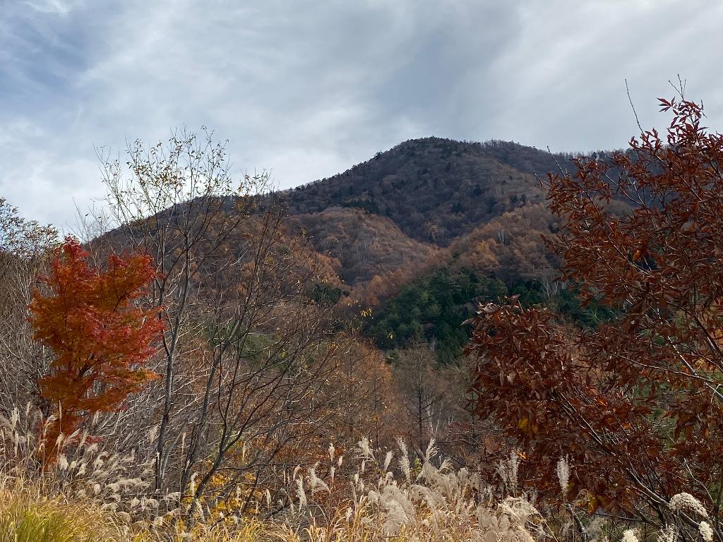 黒岳 くろだけ 1793ｍ 山梨100名山 日本300名山 醍醐山と下部 しもべ 温泉 楽天ブログ