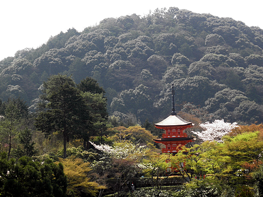 kiyomizu-14