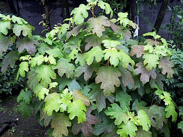 120609_130726.jpg