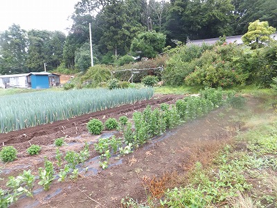 DSCF3748.jpg