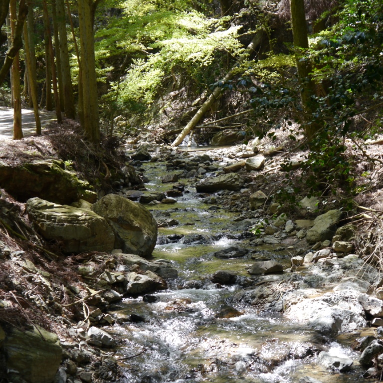 P1060986（流れゆるやか）.jpg