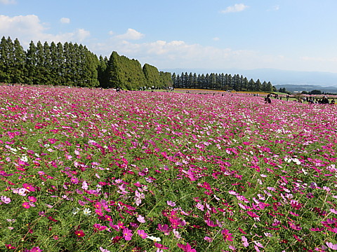 IMG_6085.jpg