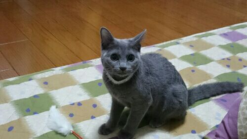 rblog-20170222182134-01.jpg