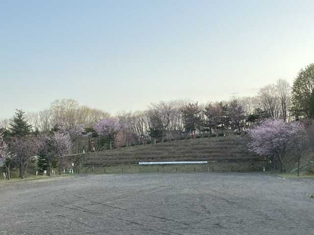 姥桜と老桜の違い Danmama日記 楽天ブログ