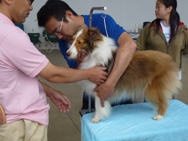 P1010337 - コピー.JPG