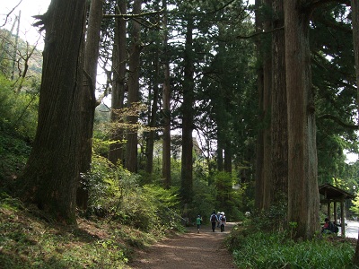 DSCF9178.JPG